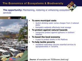 The opportunity: Maintaining, restoring or enhancing ecosystem
services


                       •   To save municipal costs
                            – Quito’s drinking water comes cheaper from 2 national
                              parks
                            – Kampala’s wetlands effectively treat sewage
                       •   To protect against natural hazards
                            – mangroves protect against typhoons in northern
                              Vietnam
                       •   To boost the local economy
                            – it pays to protect sharks in the Maldives
                       •   To help tackle poverty
                            – woodland restoration secures essential services to
                              agropastoralists in Tanzania




                        Source: all examples are TEEBcases (teeb.org)
 