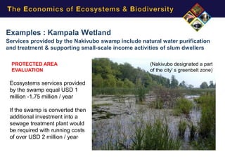 Examples : Kampala Wetland
Services provided by the Nakivubo swamp include natural water purification
and treatment & supporting small-scale income activities of slum dwellers

  PROTECTED AREA                                    (Nakivubo designated a part
  EVALUATION                                        of the city’ s greenbelt zone)

 Ecosystems services provided
 by the swamp equal USD 1
 million -1.75 million / year

 If the swamp is converted then
 additional investment into a
 sewage treatment plant would
 be required with running costs
 of over USD 2 million / year
 