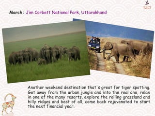 March: Jim Corbett National Park, Uttarakhand
Another weekend destination that's great for tiger spotting.
Get away from the urban jungle and into the real one, relax
in one of the many resorts, explore the rolling grassland and
hilly ridges and best of all, come back rejuvenated to start
the next financial year.
 