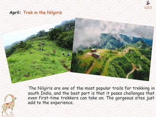 April: Trek in the Nilgiris
The Nilgiris are one of the most popular trails for trekking in
south India, and the best part is that it poses challenges that
even first-time trekkers can take on. The gorgeous sites just
add to the experience.
 