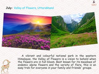 July: Valley of Flowers, Uttarakhand
A vibrant and colourful national park in the western
Himalayas, the Valley of Flowers is a vision to behold when
the flowers are in full bloom. Best known for its meadows of
endemic alpine flowers and the variety of flora, this is an
easy trek for everyone in your family and friends' groups.
 