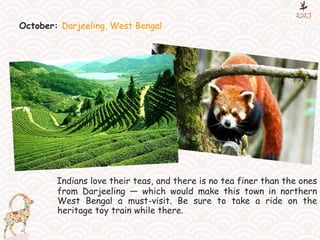 October: Darjeeling, West Bengal
Indians love their teas, and there is no tea finer than the ones
from Darjeeling — which would make this town in northern
West Bengal a must-visit. Be sure to take a ride on the
heritage toy train while there.
 