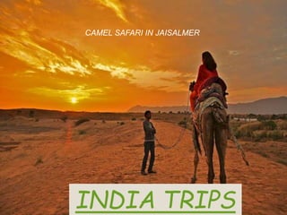 India Trips
CAMEL SAFARI IN JAISALMER
INDIA TRIPS
 