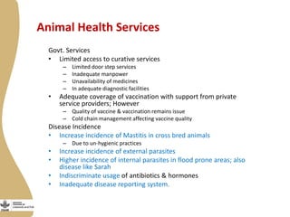 Smallholder dairy value chain situational analysis in Bihar, India