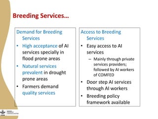 Smallholder dairy value chain situational analysis in Bihar, India