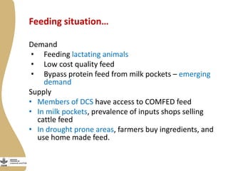 Smallholder dairy value chain situational analysis in Bihar, India