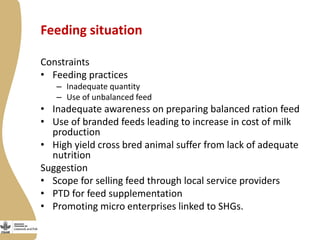 Smallholder dairy value chain situational analysis in Bihar, India