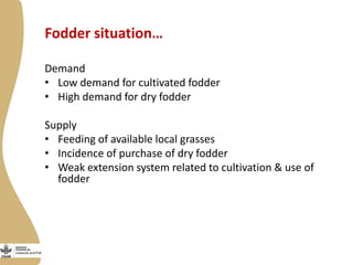 Smallholder dairy value chain situational analysis in Bihar, India