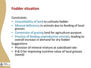 Smallholder dairy value chain situational analysis in Bihar, India