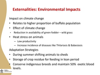 Smallholder dairy value chain situational analysis in Bihar, India