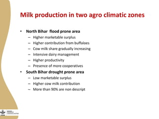 Smallholder dairy value chain situational analysis in Bihar, India