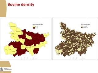 Update on the smallholder dairy value chain project in India 