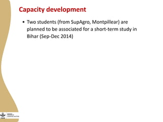 Update on the smallholder dairy value chain project in India 