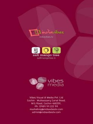 Indiavibes business model