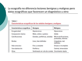 • La ecografía no diferencia lesiones benignas y malignas pero
  datos ecográficos que favorecen un diagnóstico u otro:
 