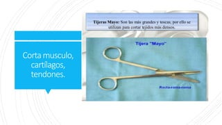 Cortamusculo,
cartílagos,
tendones.
 