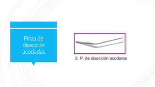 Pinzade
disección
acodadas
 