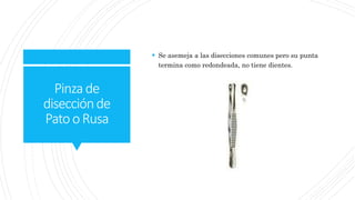 Pinzade
disecciónde
Patoo Rusa
 Se asemeja a las disecciones comunes pero su punta
termina como redondeada, no tiene dientes.
 