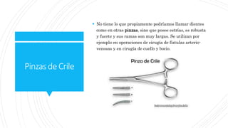 Pinzasde Crile
 No tiene lo que propiamente podríamos llamar dientes
como en otras pinzas, sino que posee estrías, es robusta
y fuerte y sus ramas son muy largas. Se utilizan por
ejemplo en operaciones de cirugía de fístulas arterio-
venosas y en cirugía de cuello y bocio.
 