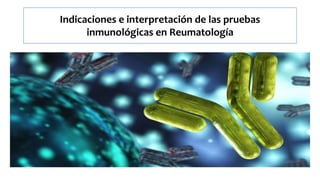 Indicaciones e interpretación de las pruebas
inmunológicas en Reumatología
 