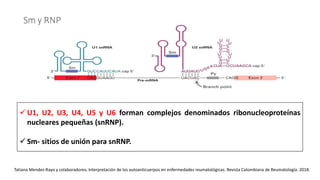 Indicaciones e Interpretación de pruebas inmunológicas.pptx