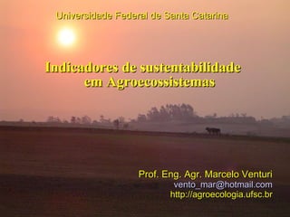 Indicadores de sustentabilidade em Agroecossistemas Universidade Federal de Santa Catarina Prof. Eng. Agr. Marcelo Venturi [email_address] http://agroecologia.ufsc.br 
