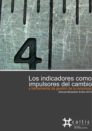 Los indicadores como
impulsores del cambio
y herramienta de gestión de tu empresa.
                  Artículo Bimestral: Enero 2013
 