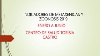 INDICADORES DE METAXENICAS Y
ZOONOSIS 2019
CENTRO DE SALUD TORIBIA
CASTRO
ENERO A JUNIO
 