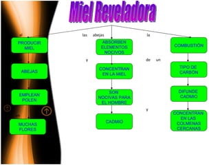 al  las  abejas  la las  y  de  un y en Miel Reveladora PRODUCIR MIEL CONCENTRAN EN LA MIEL SON  NOCIVAS PARA EL HOMBRE ABSORBEN ELEMENTOS NOCIVOS COMBUSTIÓN DIFUNDE  CADMIO TIPO DE  CARBÓN ABEJAS EMPLEAN POLEN MUCHAS FLORES CADMIO CONCENTRAN  EN LAS  COLMENAS CERCANAS 