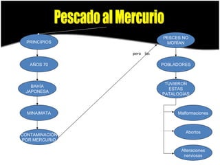 pero  los Pescado al Mercurio PRINCIPIOS PESCES NO MORÍAN AÑOS 70 POBLADORES TUVIERON ESTAS PATALOGÍAS BAHÍA JAPONESA MINAIMATA CONTAMINACIÓN POR MERCURIO Abortos Alteraciones nerviosas Malformaciones 