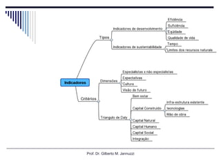 Prof. Dr. Gilberto M. Jannuzzi 