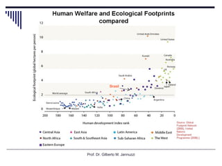 Prof. Dr. Gilberto M. Jannuzzi Brasil 