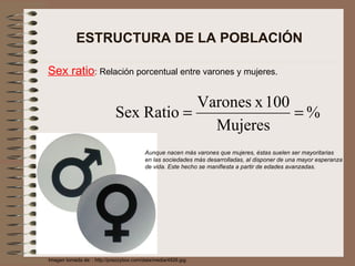 ESTRUCTURA DE LA POBLACIÓN Sex ratio : Relación porcentual entre varones y mujeres. Imagen tomada de: : http://prezzybox.com/data/media/4826.jpg Aunque nacen más varones que mujeres, éstas suelen ser mayoritarias en las sociedades más desarrolladas, al disponer de una mayor esperanza de vida. Este hecho se manifiesta a partir de edades avanzadas. 