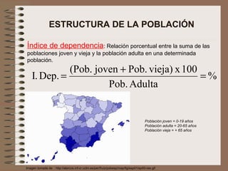 ESTRUCTURA DE LA POBLACIÓN Índice de dependencia : Relación porcentual entre la suma de las poblaciones joven y vieja y la población adulta en una determinada población. Imagen tomada de: : http://alarcos.inf-cr.uclm.es/per/fruiz/pobesp/map/fig/esp01/ep00-ree.gif Población joven = 0-19 años Población adulta = 20-65 años Población vieja = + 65 años 