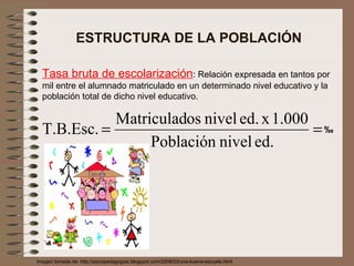 ESTRUCTURA DE LA POBLACIÓN Tasa bruta de escolarización : Relación expresada en tantos por mil entre el alumnado matriculado en un determinado nivel educativo y la población total de dicho nivel educativo. ‰ Imagen tomada de: http://psicopedagogias.blogspot.com/2008/03/una-buena-escuela.html  