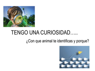 TENGO UNA CURIOSIDAD…..
¿Con que animal te identificas y porque?
 