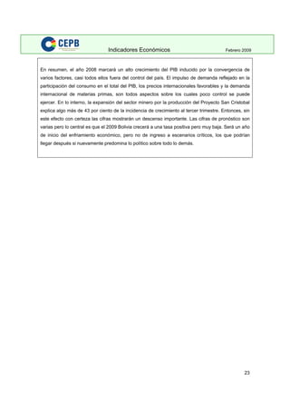 Indicadores Economicos 2009