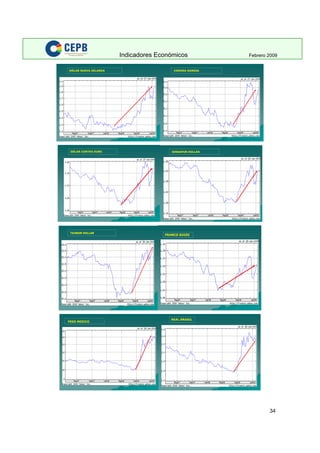 Indicadores Economicos 2009