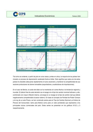 Indicadores Economicos 2009