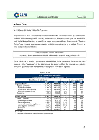 Indicadores Economicos 2009