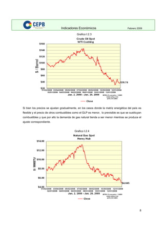 Indicadores Economicos 2009