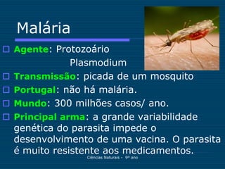 Malária
 Agente: Protozoário
                Plasmodium
   Transmissão: picada de um mosquito
   Portugal: não há malária.
   Mundo: 300 milhões casos/ ano.
   Principal arma: a grande variabilidade
    genética do parasita impede o
    desenvolvimento de uma vacina. O parasita
    é muito resistente aos medicamentos.
                  Ciências Naturais - 9º ano
 