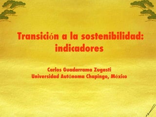 Transici ó n a la sostenibilidad: indicadores Carlos Guadarrama Zugasti Universidad Aut ó noma Chapingo, M é xico 