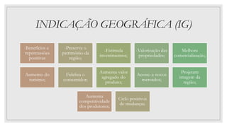 INDICAÇÃO GEOGRÁFICA (IG)
Benefícios e
repercussões
positivas
-Preserva o
patrimônio da
região;
-Estimula
investimentos;
-Valorização das
propriedades;
Melhora
comercialização;
Aumento do
turismo;
Fideliza o
consumidor;
Aumenta valor
agregado do
produto;
Acesso a novos
mercados;
Projetam
imagem da
região;
Aumenta
competitividade
dos produtores;
Ciclo positivos
de mudanças.
 