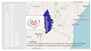 INDICAÇÃO
DE
PROCEDÊNCIA
NO
BRASIL
Formosa do Rio Preto, Santa Rita de Cássia, Riachão das Neves, Barreiras, Luís Eduardo
Magalhães, São Desidério, Catolândia, Baianópolis, Correntina, Jaborandi e Cocos
 