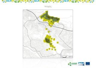 Urban Sprawl - European vision 