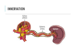 Splenectomized Patient splenectomy and its complications.pptx