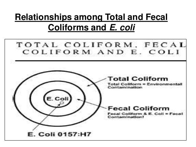Health Risks Of Coliform Bacteria In Drinking Water Health Risks Of Coliform Bacteria In Drinking Water