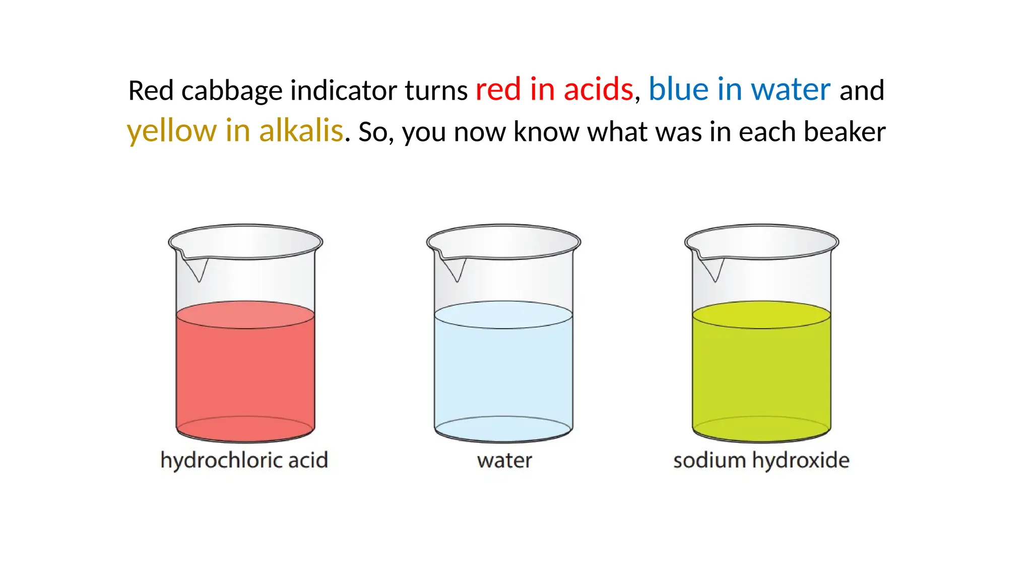 Red cabbage indicator turns red in acids, blue in water and
yellow in alkalis. So, you now know what was in each beaker
 