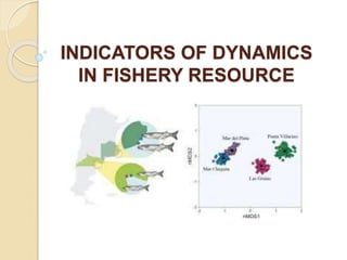 INDICATORS OF DYNAMICS
IN FISHERY RESOURCE
 